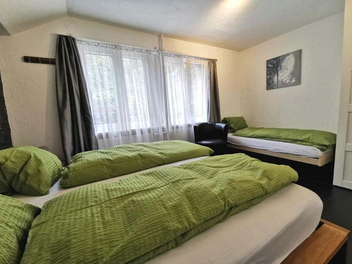 Apartment Steinbock